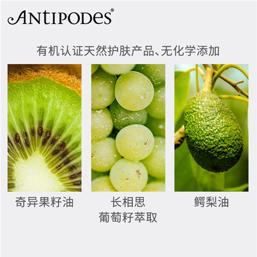 Antipodes安媞珀奇异果籽抗皱眼霜30ml   通过权威机构有机认证  富含牛油果精华  淡化细纹 孕妇适用 商品图3