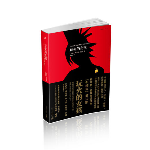 千禧年四部曲：玩火的女孩    3000804 商品图0
