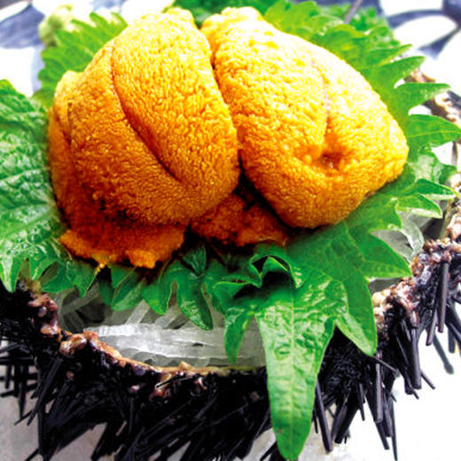 加拿大原产紫胆盒