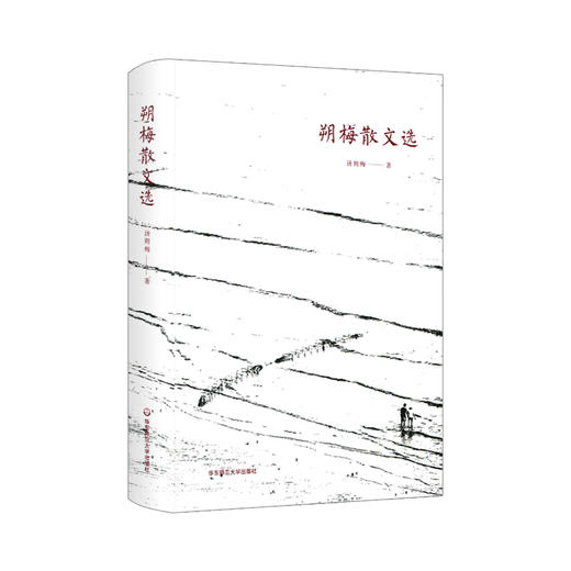 朔梅散文选 精装 汤朔梅 中国当代散文集 原乡记忆 浮生感悟 华东师范大学作家群 商品图0
