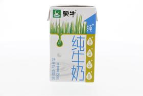 蒙牛纯牛奶250ml