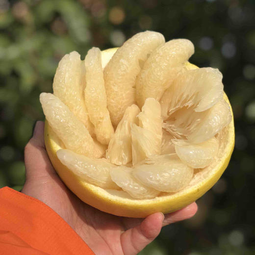 【劲爆开团】江永香柚，纯甜无酸，清脆爽口，水分好！产地直采整车到店 商品图10