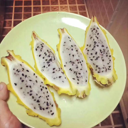 【物以稀为贵高端稀缺麒麟燕窝果】营养丰富，土豪金水果，滋补养生特效，送礼也是很抢手的 商品图3