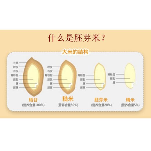 胚芽米 5斤装包邮  原生态种植  不喷农药，不施化肥 商品图6