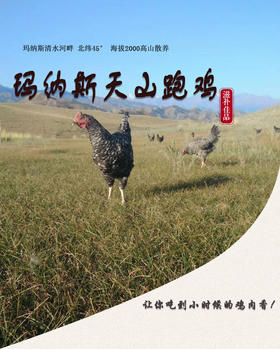 [昂洋鲜生]玛纳斯天山跑鸡礼盒（2只）