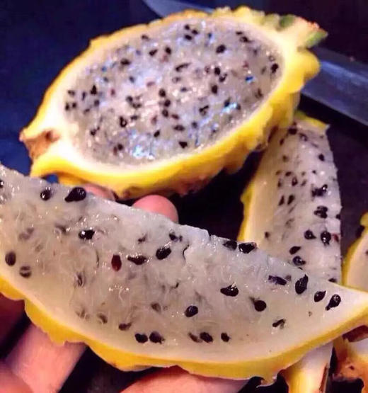 【物以稀为贵高端稀缺麒麟燕窝果】营养丰富，土豪金水果，滋补养生特效，送礼也是很抢手的 商品图2