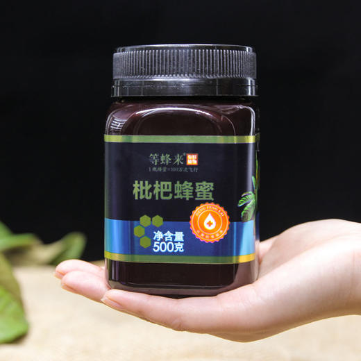 【枇杷蜜】等蜂来天然枇杷蜂蜜500g 采自“长寿之乡” 冬蜜臻品 商品图2