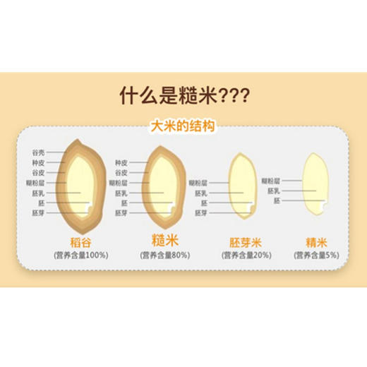 糙米 5斤装包邮   无农药  无化肥  自然农耕 生态粗粮 商品图5