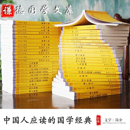 世说新语正版包邮 谦德国学文库 刘义庆著译注初中生 青少版课外书籍 原文+注释+译文 文学名著 中国古诗词 中华经典名著 商品图1