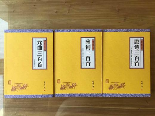 唐诗宋词元曲正版全集3本装 全译本 谦德国学文库系列 中国古诗词鉴赏唐诗300首宋词元曲三百首中小学生必背古诗词唐诗三百首正版 商品图3