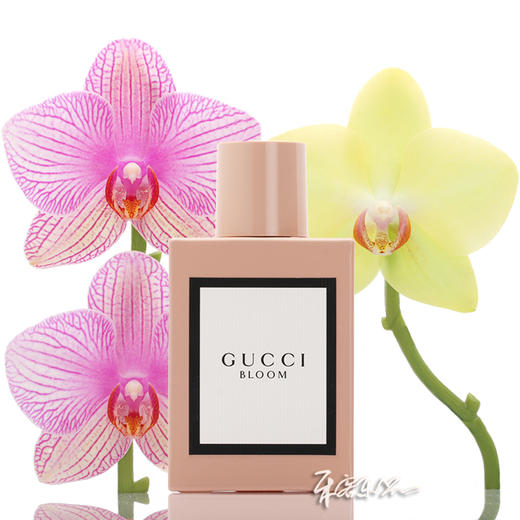 古驰 花悦绽放浓香水EDP GUCCI bloom  小样/正装 商品图0