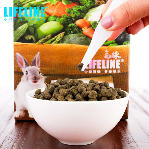 命脉 成年兔粮 苜宿草兔粮宠物兔牧草兔粮300g兔饲料【LIFELINE命脉官方正版】 商品图1