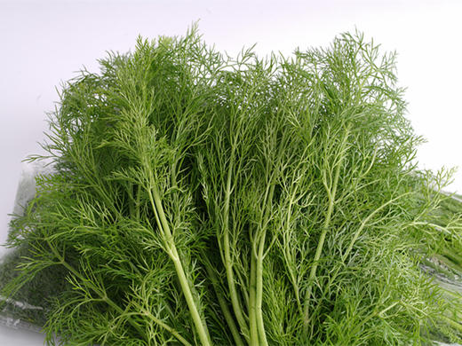 茴香 300g 商品图1