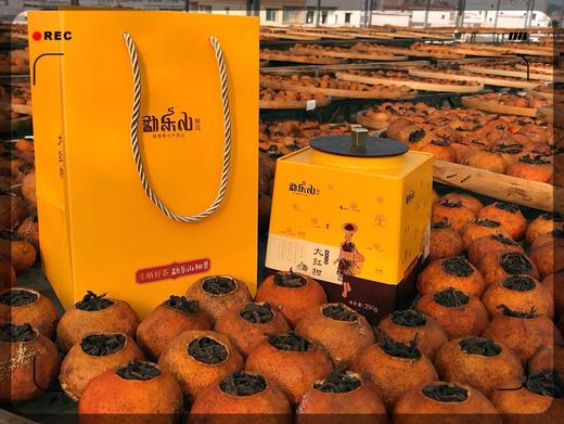 2017年易武古树大红柑普 商品图4