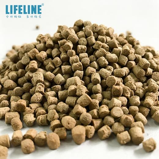 命脉 角蛙饲料角蛙粮 爬宠粮食两栖蛙粮300g 【LIFELINE命脉官方正版】 商品图2