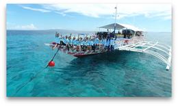 【度假村】菲律宾薄荷Bohol王者潜水