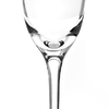 Roberto Cavalli 金色经典系列 香槟杯 商品缩略图2
