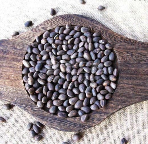 【阳光里的年味】阿斯牛牛松子 美味营养的零食伴侣（1斤散装） 商品图1