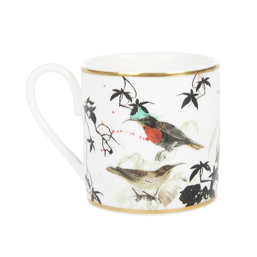 Roberto Cavalli 花园灵鸟系列 咖啡杯套装 商品图1
