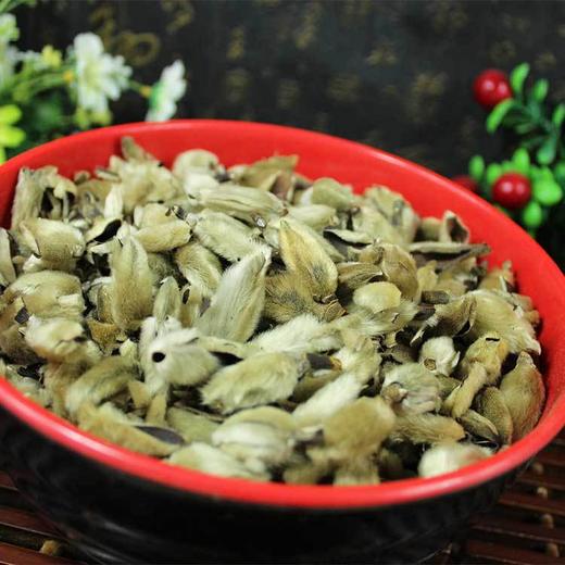 辛夷花木笔花迎春花辛夷花茶花草茶 商品图1