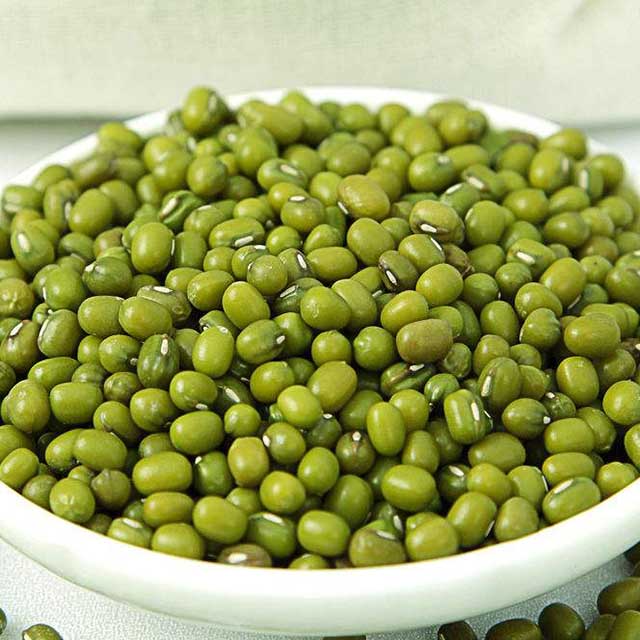 绿豆 |