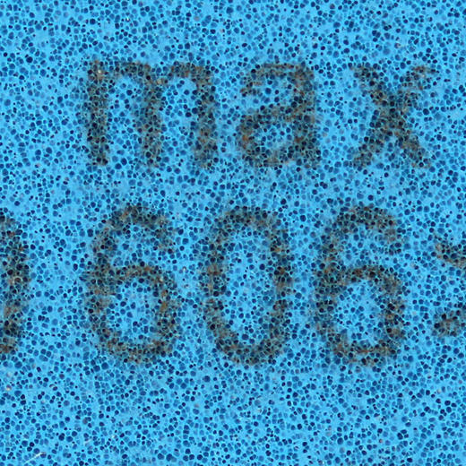 多尼克 蓝火JP03 Bluefire_JP_03(13003) 蓝色火焰涩性反胶乒乓球套胶 商品图3