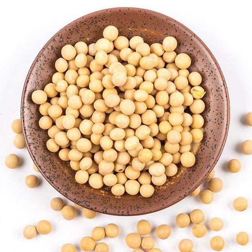 黄豆 商品图0
