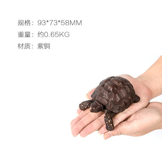 朱炳仁铜 龟寿延年 铜雕家居饰品摆件工艺艺术品精品 客厅 书房 商品图2