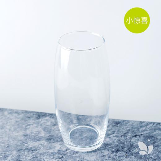 「欢乐时光」玻璃花器，想办法给你亮晶晶的奖杯。 商品图0