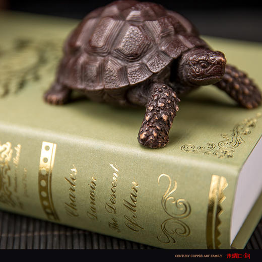 朱炳仁铜 龟寿延年 铜雕家居饰品摆件工艺艺术品精品 客厅 书房 商品图4