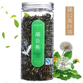 蒲公英茶蒲公英叶茶婆婆丁纯蒲公英茶花草茶