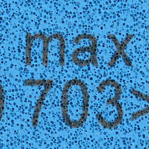 DONIC多尼克蓝火M1 Turbo乒乓球胶皮M1加硬型13011蓝色火焰德系高弹内能涩性反胶乒乓套胶 商品图4