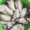 【特大生蚝肉】（1份500克8-12个）潮汕地区大蚝之乡汫洲纯生蚝肉 活蚝去壳取肉 当日现开现发 个头大、肉厚、肥嫩、鲜甜、爽口 商品缩略图2