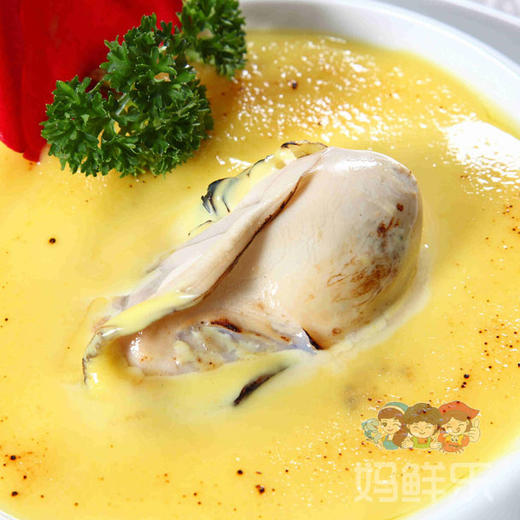 【特大生蚝肉】（1份500克8-12个）潮汕地区大蚝之乡汫洲纯生蚝肉 活蚝去壳取肉 当日现开现发 个头大、肉厚、肥嫩、鲜甜、爽口 商品图0