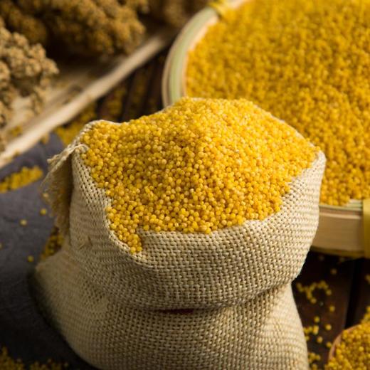 蒙清有机小香米清水河小米黄小米新米农家小黄米月子米罐400g2017新米