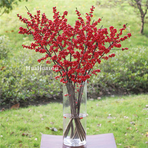 进口冬青瓶花（少量现货，随时售罄） 商品图8