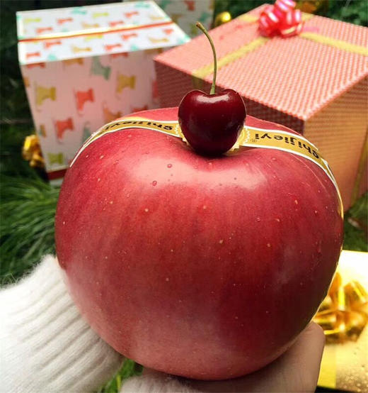 世界一号超大苹果 平安果精美礼盒装 圣诞必备(600g左右/颗 礼盒