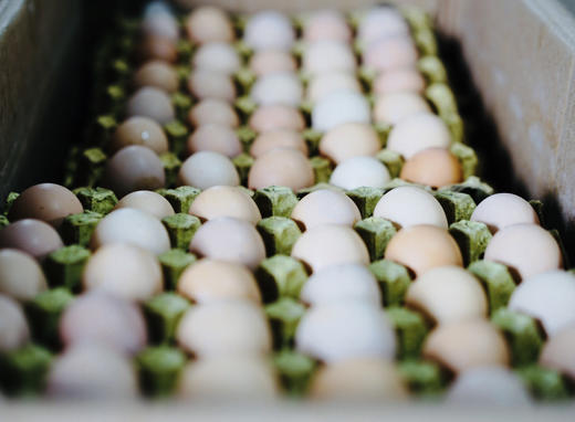 【第二箱半价】竹林跑鸡蛋40枚 商品图3