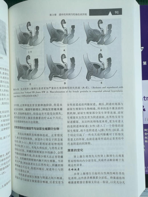 《妇产科学zuixin诊断与zhiliao》（上下册）（第11版） 商品图4