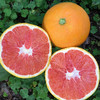 湖北 长江边血橙 1箱约8斤礼盒装 花青素 商品缩略图8