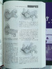《妇产科学zuixin诊断与zhiliao》（上下册）（第11版） 商品缩略图7