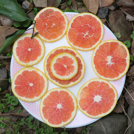 湖北 长江边血橙 1箱约8斤礼盒装 花青素 商品图9