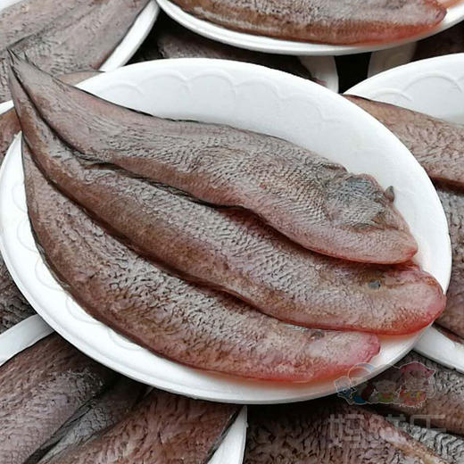 野生龙利鱼野生海捕又名龙舌鱼肉质细嫩营养丰富帮杀好杀前约1斤