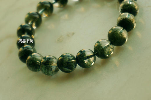 绿幽灵 聚宝盆 2/3盆 商品图0