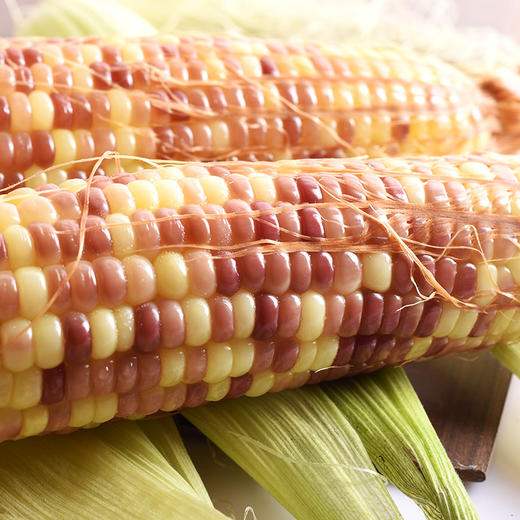 云南 西双版纳糯香小玉米 3斤装 无公害认证 软糯香甜 晶莹剔透 商品图1