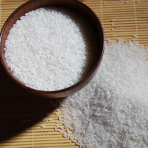 黑龙江五常稻花香米 商品图0