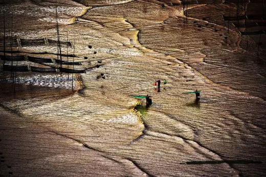 【霞浦滩涂】,瓯江帆影,闽浙人文风光八日深度摄影采风
