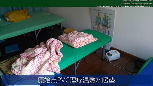 原始点水暖床垫 莱乐佳PVC 单人双人水循环温敷理疗水暖床垫 商品图2