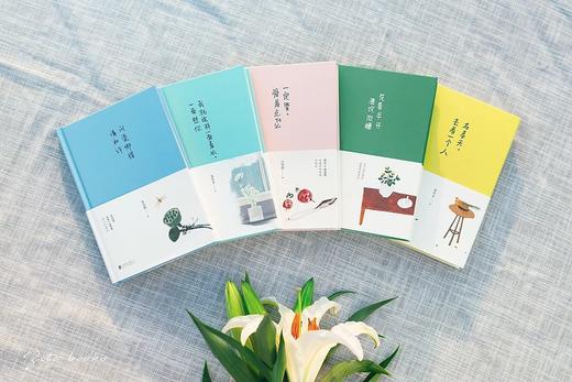 华语文坛经典著作 商品图3