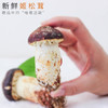 YN【人工菌】云南山珍新鲜“姬松茸/巴西蘑菇”顺丰空运，”煲汤/小炒/油煎/生吃均可 商品缩略图0